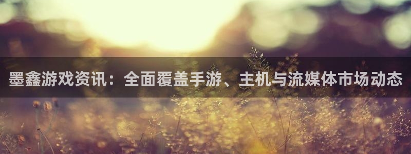 杜邦娛樂測速：墨鑫遊戲資訊：全麵覆蓋手遊、主機與流媒體市場動